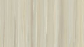 גליל טפט ראש 425710