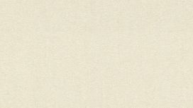 גליל טפט ראש 402322