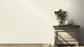 גליל טפט ראש 536805