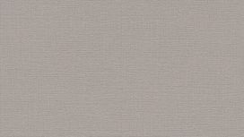 גליל טפט ראש 732320