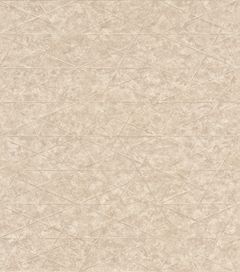 גליל טפט ראש 554335