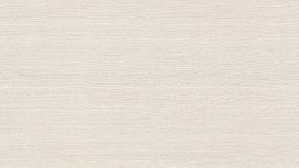 גליל טפט ראש 528879