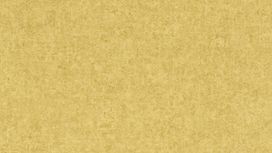 גליל טפט ראש 551822