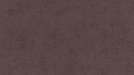 גליל טפט ראש 408119