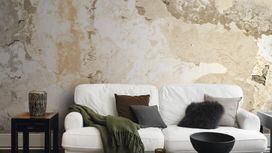 טפט תמונה 101133