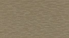 גליל טפט ראש 806434