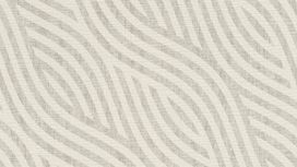 גליל טפט ראש 704525