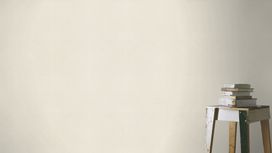 גליל טפט ראש 464047