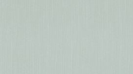 גליל טפט ראש 800333