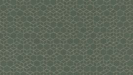 גליל טפט ראש 550351