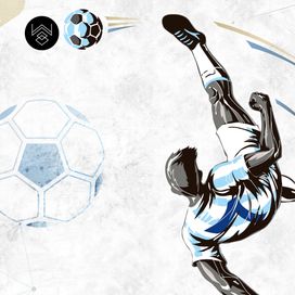 טפט צ'מפיון 4