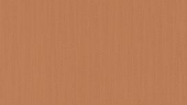 גליל טפט ראש 535334