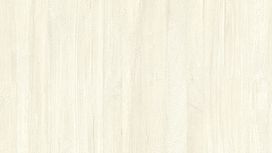 גליל טפט ראש 528411