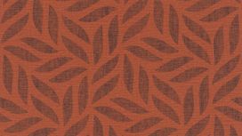 גליל טפט ראש 704655