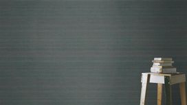 גליל טפט ראש 528855