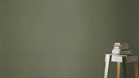 גליל טפט ראש 407945